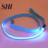 Pet Dog Glow LED Flashing Light Nylon Safety Anti-lost Leash Lead Rope Belt mėlyna