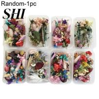 Pressed Flower 1Box Dried Lightweight Random Style Dehydrated Beautiful Flowers for Handmade Candles Preserved