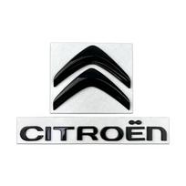 Metalinė raidės lipdukas Automobilio priekinė galinė emblema Citroen DS4 Jumper C4 C3 Xsara C-Elysee C5 C1 DS3 DS5 Picasso Sega C-quatre sidabras