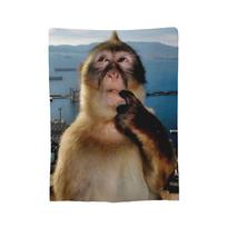 Monkey Thinking Meme Blankets Fleece All Season Portable Lightweight Throw Blankets for Bedding Car Bedding Throws Size: 75*100cm, Weight: 230 GSM