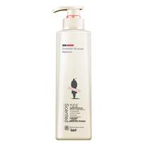 Adolph Essential Oil Fragrance Shampoo