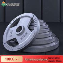 Painted Cast Iron Barbell Weight Plate (5cm Hole)