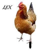 Stake Realistic Acrylic Animal Yard Stake, 2D Flat Chicken Goose Bird Garden Bunny Sign for Pathway, Patio, Lawn Outdoor Decor Decorative P