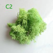 Artificial Plant Eternal Life Moss Garden Home Wedding Christmas Decoration Wall DIY Flower  Micro Landscape Accessories