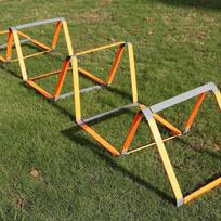 TLXT Multifunctional Agility Ladder