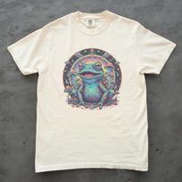 Trippy Frog Shirt, Psychedelic Mushroom Tee, Unisex Comfort Colors, Frog Lover Gift, Cosmic Frog T shirt, Goblincore Shirt, Fantasy Frog 2XL