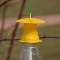 5 vnt. vaisinių musių gaudyklės žudikas Drosophila trap musių gaudytojas kenkėjų vabzdžių kontrolė one size