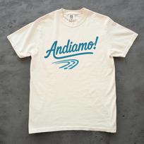 Andiamo Shirt, Italian Travel Tee, Retro Italy Graphic Top, Cute Italian Summer Shirt, Comfort Colors Vacation Tee, Italy Lover Gift 2XL