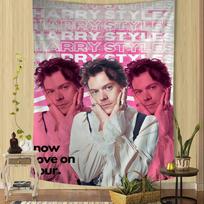 Singer H-Harry S-Styles Cartoon Tapestry Art Science Fiction Room Home Decor Art Home Decor 100X70CM