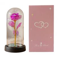 Konservuota rožė kupole su LED apšvietimu Dirbtinė amžina rožė Gėlės dovanos Jai Mamai Moterims Valentino diena Kalėdinė dovana XXL rožinė raudona spalva