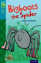 KNYGA Angela Mcallister Oxford Reading Tree TreeTops Fiction: Level 9 More Pack A: Bigboots the Spider