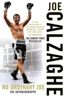 KNYGA Joe Calzaghe No Ordinary Joe