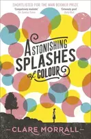 KNYGA Clare Morrall Astonishing Splashes of Colour