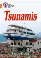 KNYGA Emily Dodd Tsunamis