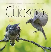 KNYGA Old345Ich Mikulica Cuckoo