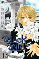KNYGA Kanoko Sakurakji Juodas Bird, Vol. 13