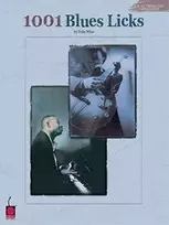 KNYGA Toby Wine 1001 Blues Licks