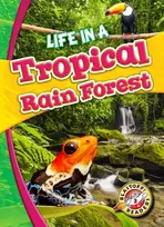 KNYGA Kari Schuetz Life in a Tropical Rain Forest