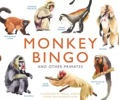 KNYGA Marcel George Monkey Bingo