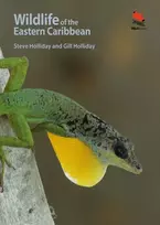 KNYGA Steve Holliday Wildlife of the Eastern Caribbean