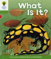 KNYGA Roderick Hunt Oxford Reading Tree: Level 2: More Patterned Stories A: What Is It?