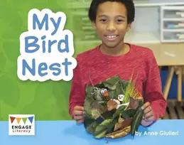 KNYGA Anne Giulieri My Bird Nest
