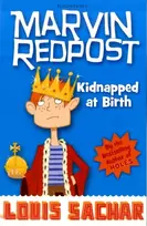 KNYGA Louis Sachar Kidnapped at Birth