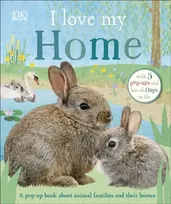 KNYGA Dk Publishing I Love My Home
