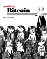 KNYGA Kalle Rosenbaum Grokking Bitcoin