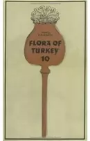 KNYGA P H Davis Flora of Turkey, Volume 10