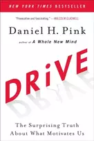 KNYGA Daniel H Pink Vairuoti