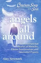 KNYGA Amy Newmark Chicken Soup for the Soul: Angels All Around