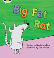 KNYGA Nicola Sandford Bug Club Phonics - Phase 2 Unit 5: Big Fat Rat