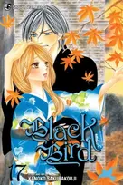 KNYGA Kanoko Sakurakoji Juodas Bird, Vol. 17