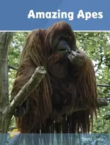 KNYGA David Orme Amazing Apes