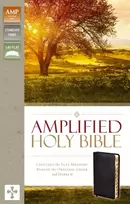 KNYGA Bookshop Amplified Holy Bible, Bonded Leather, Juodas, Thumb Indexed