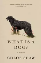 KNYGA Chloe Shaw What Is A Dog?