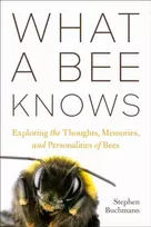 KNYGA Stephen L Buchmann What a Bee Knows