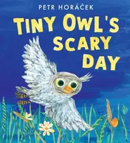 KNYGA Petr Horacek Tiny Owl's Scary Day