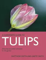 KNYGA Matthew Smith Tulips