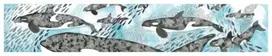 KNYGA Nicola Davies Orcas Card