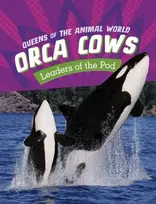 KNYGA Jaclyn Jaycox Orca Cows