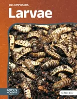 KNYGA Abby Doty Larvae