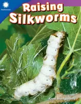 KNYGA Anne Montgomery Raising Silkworms