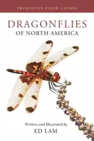 KNYGA Ed Lam Dragonflies of North America