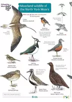 KNYGA Field Studies Council (Great Britain) Staff Moorland wildlife of the North York Moors