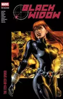 KNYGA Devin Grayson Juodas Widow Modern Era Epic Collection: The Itsy-Bitsy Spider