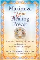 KNYGA Sharon E Martin Maximize Your Power
