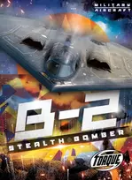 KNYGA Donna Mckinney B2 Stealth Bomber