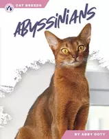 KNYGA Abby Doty Abyssinians